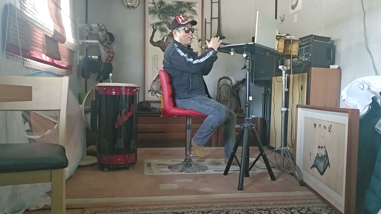  찔레꽃.트럼펫 