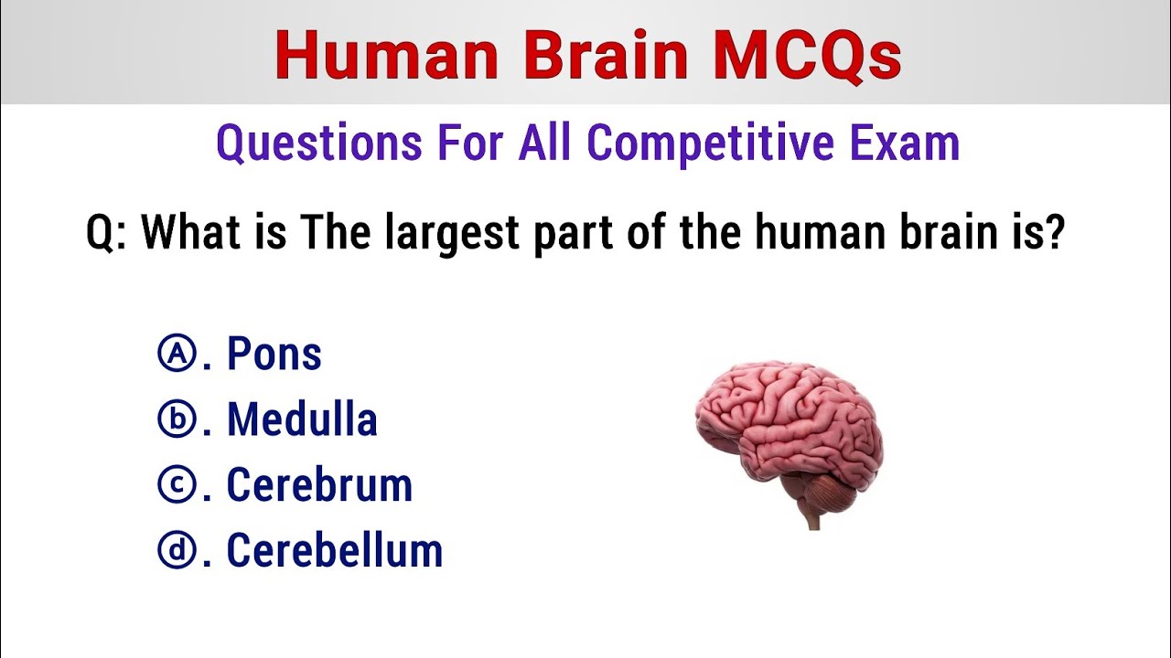 Human Brain Mcq | Human Brain Questions and Answers | Brain Questions 