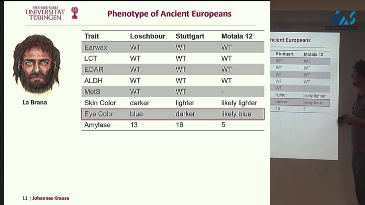 Johannes Krause -Ancient human genomes suggest three ancestral populations for modern Europeans