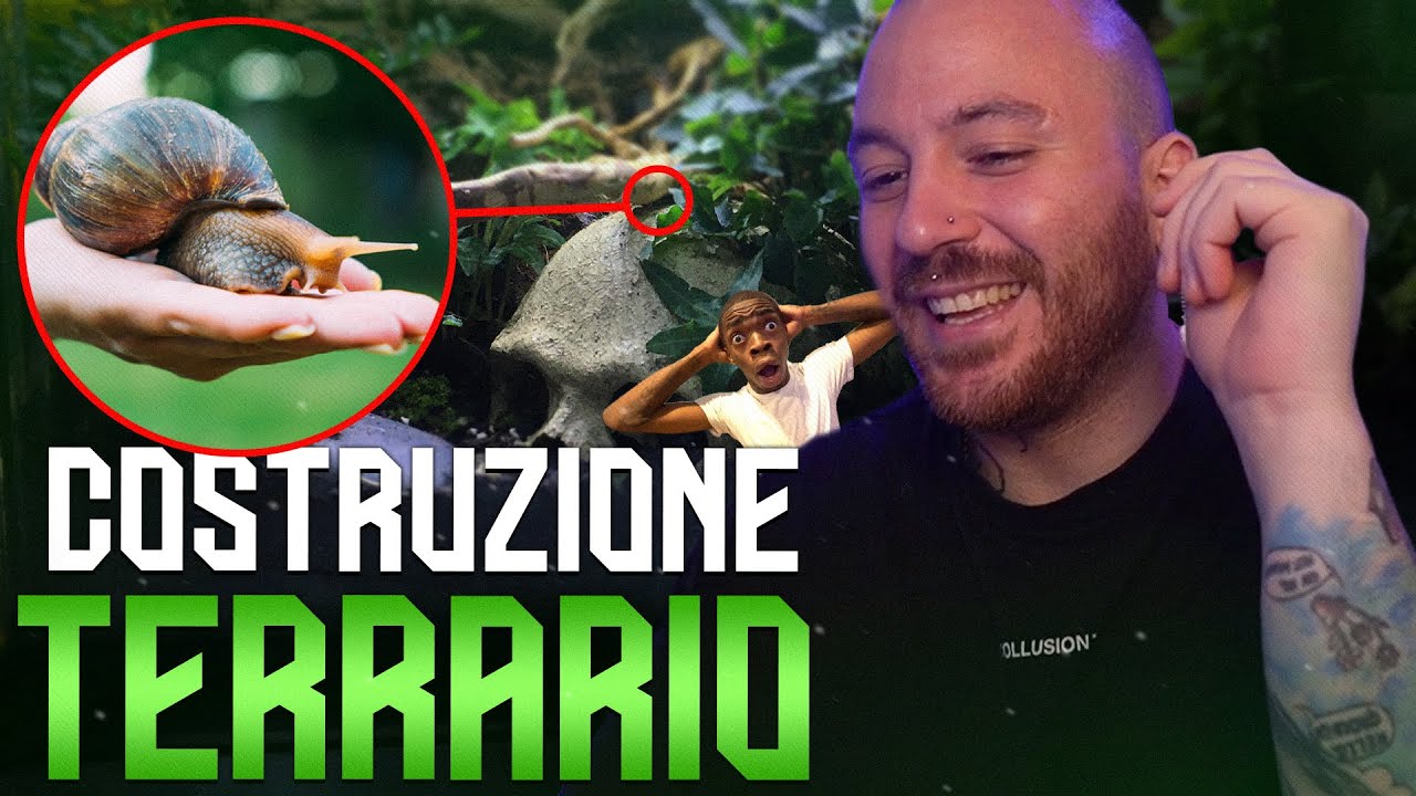 COSTRUISCO IL TERRARIO PER CHIOCCIOLA @