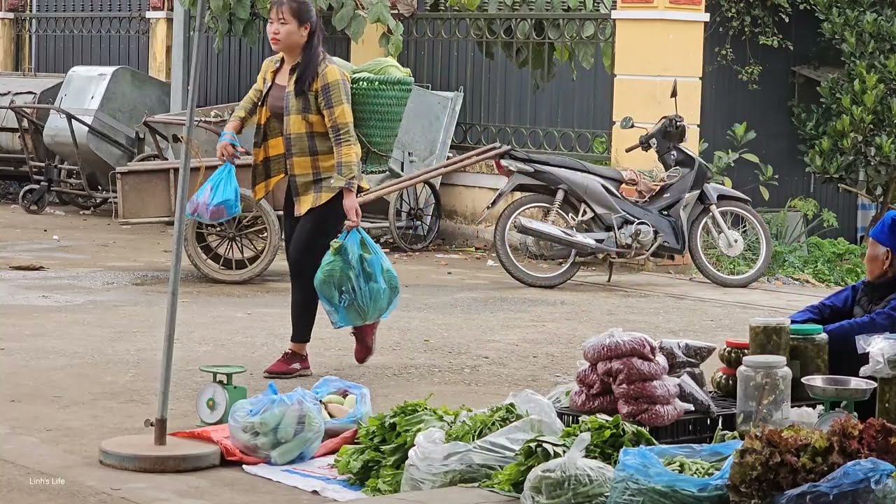 Harvesting cabbage and oranges to sell at the market - Cooking with my husband | Linh's Life