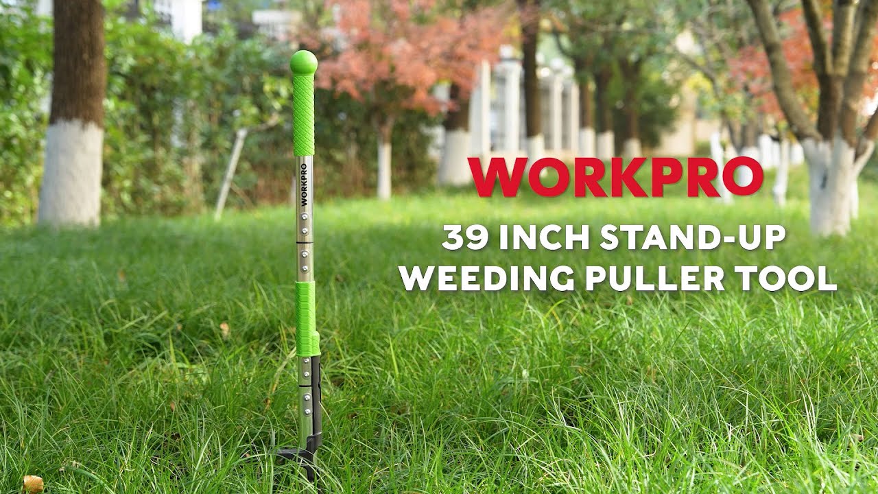 WORKPRO&reg; Tools | Stand Up Weed Puller Tool #workprotools #handtools