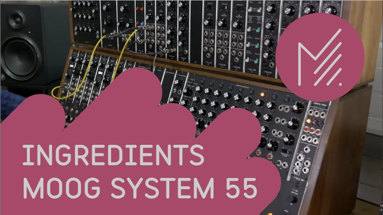 Moog System 55 - MESS INGREDIENTS
