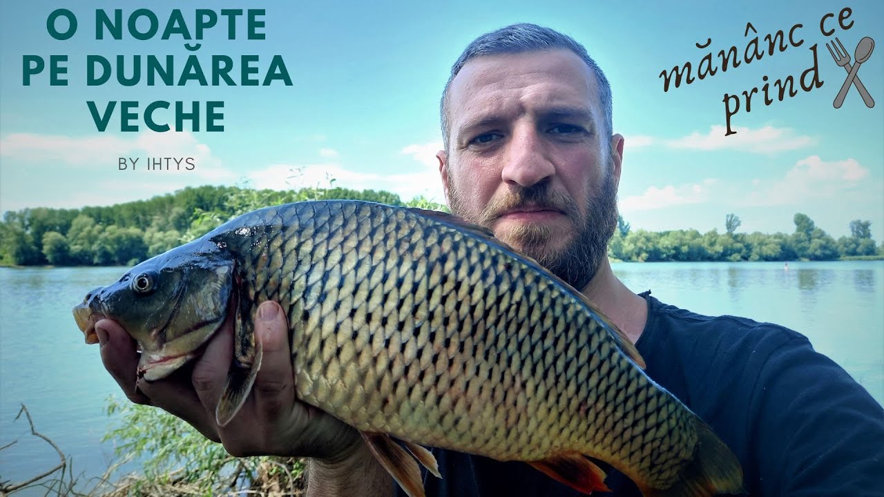 O noapte pe Dunărea Veche, Mănânc ce prind