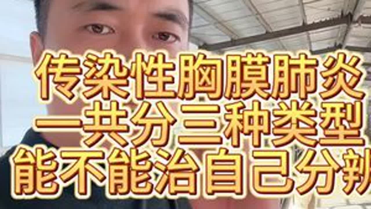 #三农 #传染性胸膜肺炎 #烂肺病 #养羊人 #农村养羊