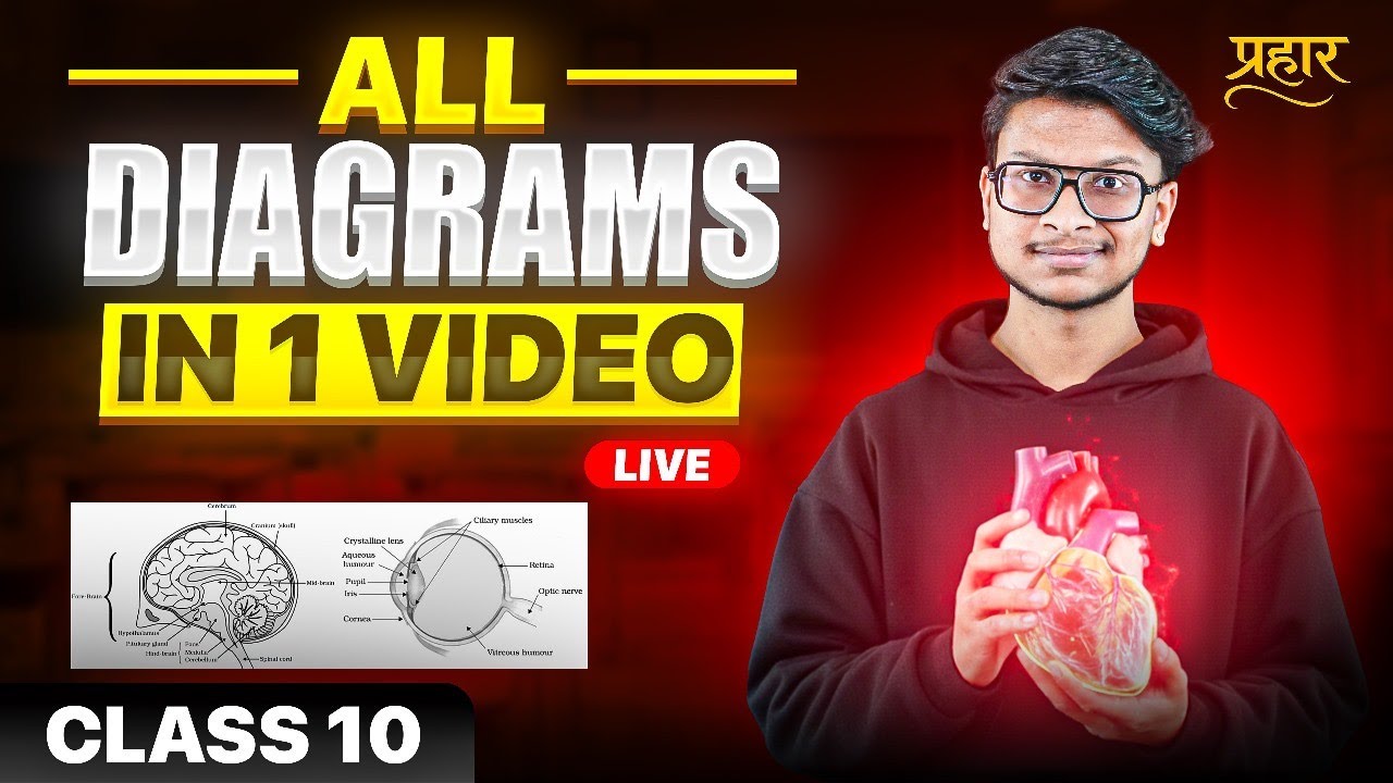 Class 10- All diagrams science one shot LIVE 🛑