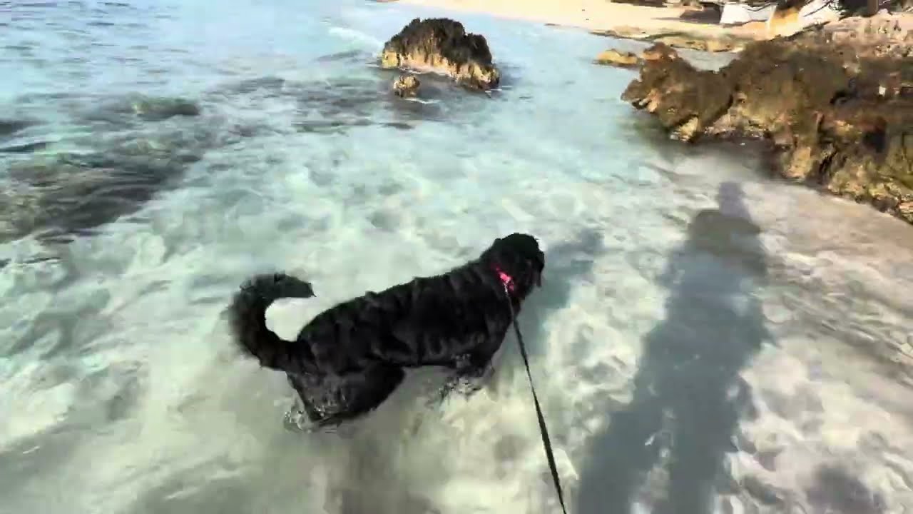 Meine Morgen Routine- Spaziergang an die Cala Agulla/ Cala Molto Teil 2