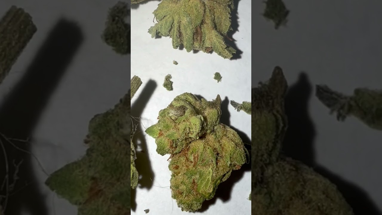 Biscotti from thca4cheap