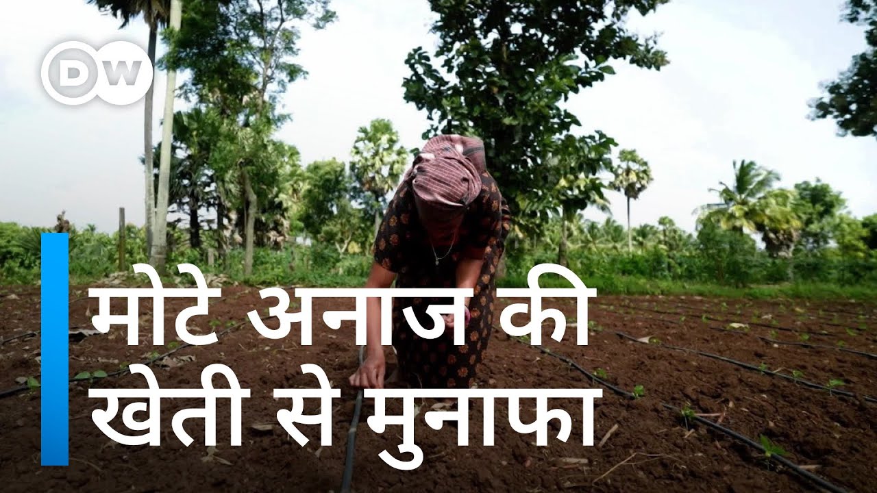 भारत में पारंपरिक खेती से सशक्त हो रही हैं महिलाएं  [India’s female farmers sow seeds of change]