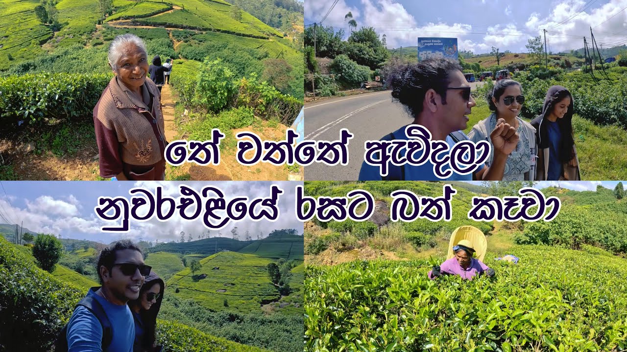රු 3000 ට නුවරඑළියේ  ඉන්න තැනක්🧡 නුවරඑළියේ අලුත්ම එළවලු එක්ක රසට දවල්ට කෑවා🍽✔ The Kudaoya Guest