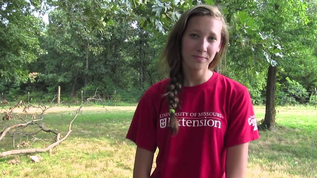 4-H recycling project