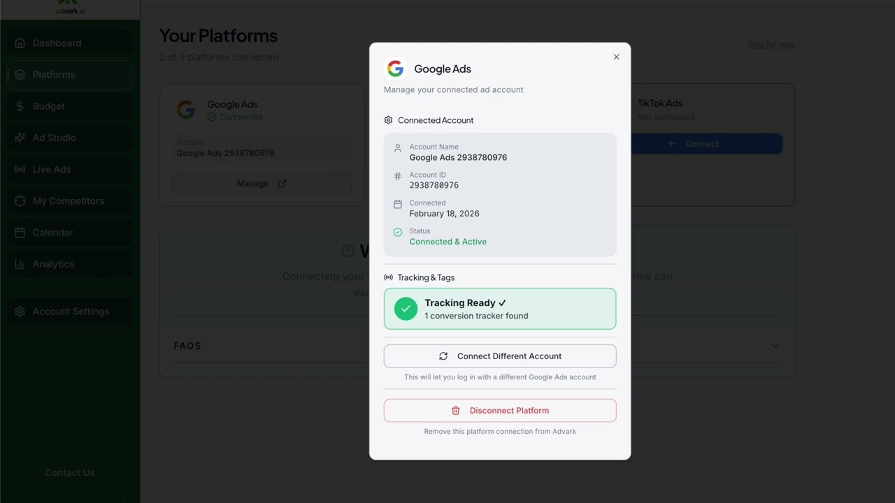 Google Ads API usage overview