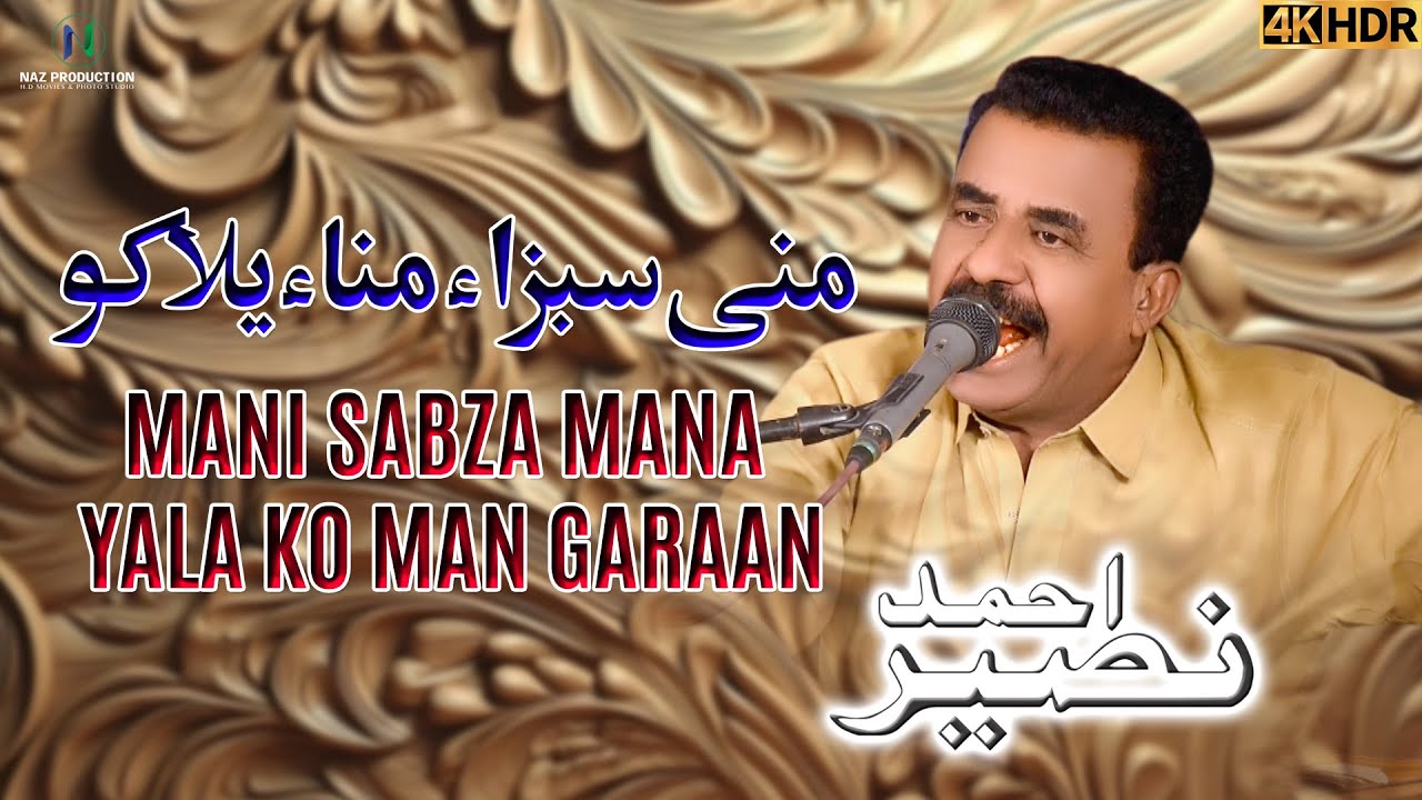 Mani Sabza Mana Yala Ko | Naseer Ahmed #4k