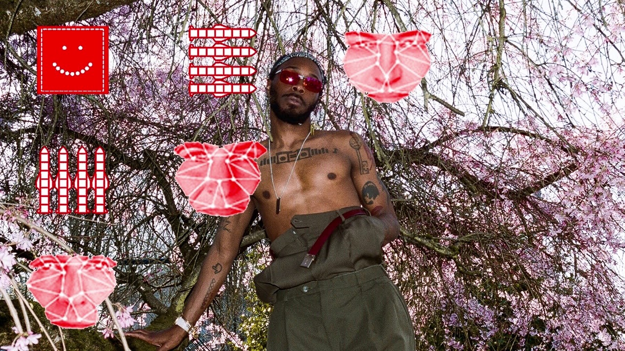 JPEGMAFIA - Rap Grow Old & Die x No Child Left Behind (Audio)