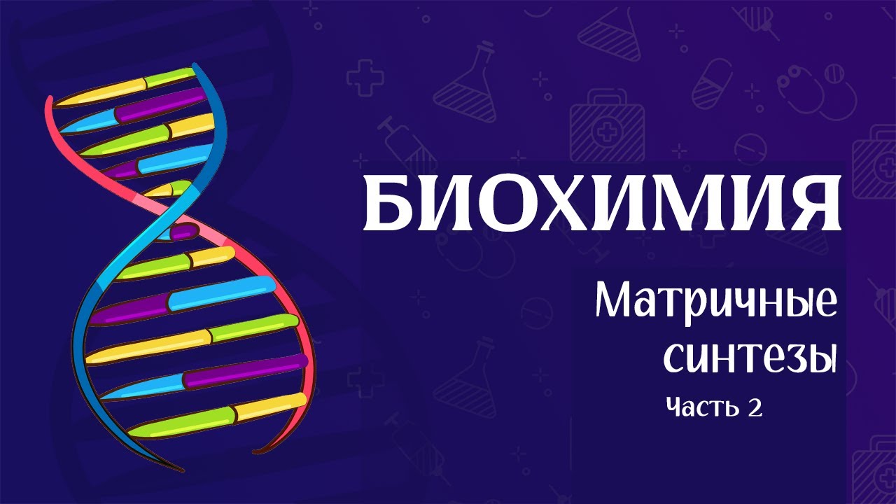 Биохимия | Матричные биосинтезы (репарация и транскрипция)