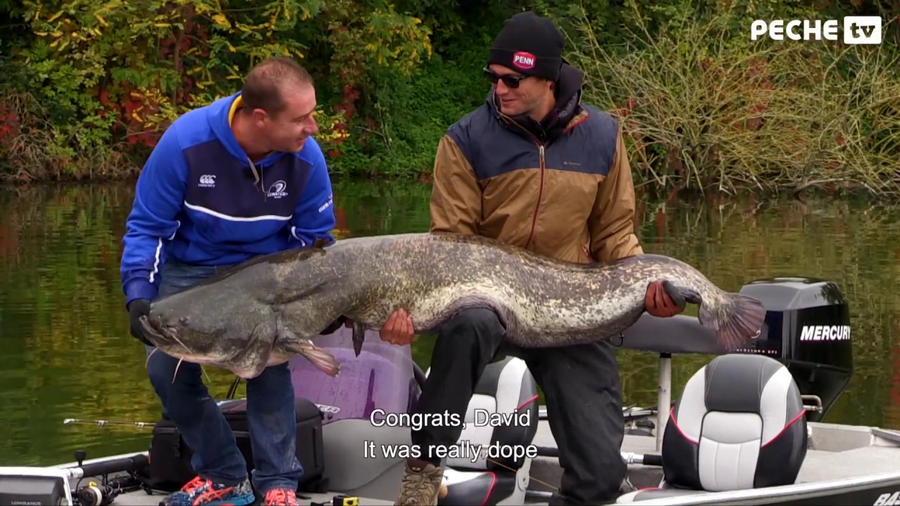 Globe Fishing 47 (Saison 2) 4/6 - Pêche du silure sur le Lot (Pêche TV) - Version sous-titrée