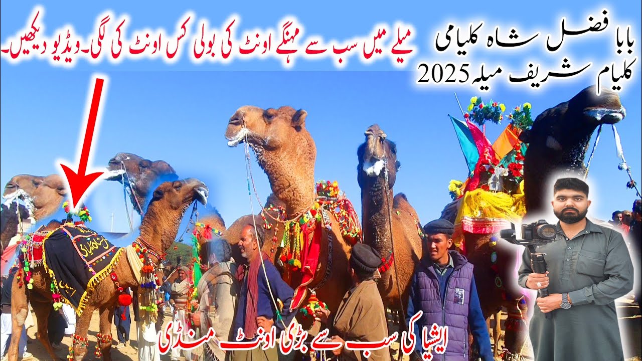 Kalyam Sharif Mela 2025 | Baba Fazal Shah Kalyami Urs
