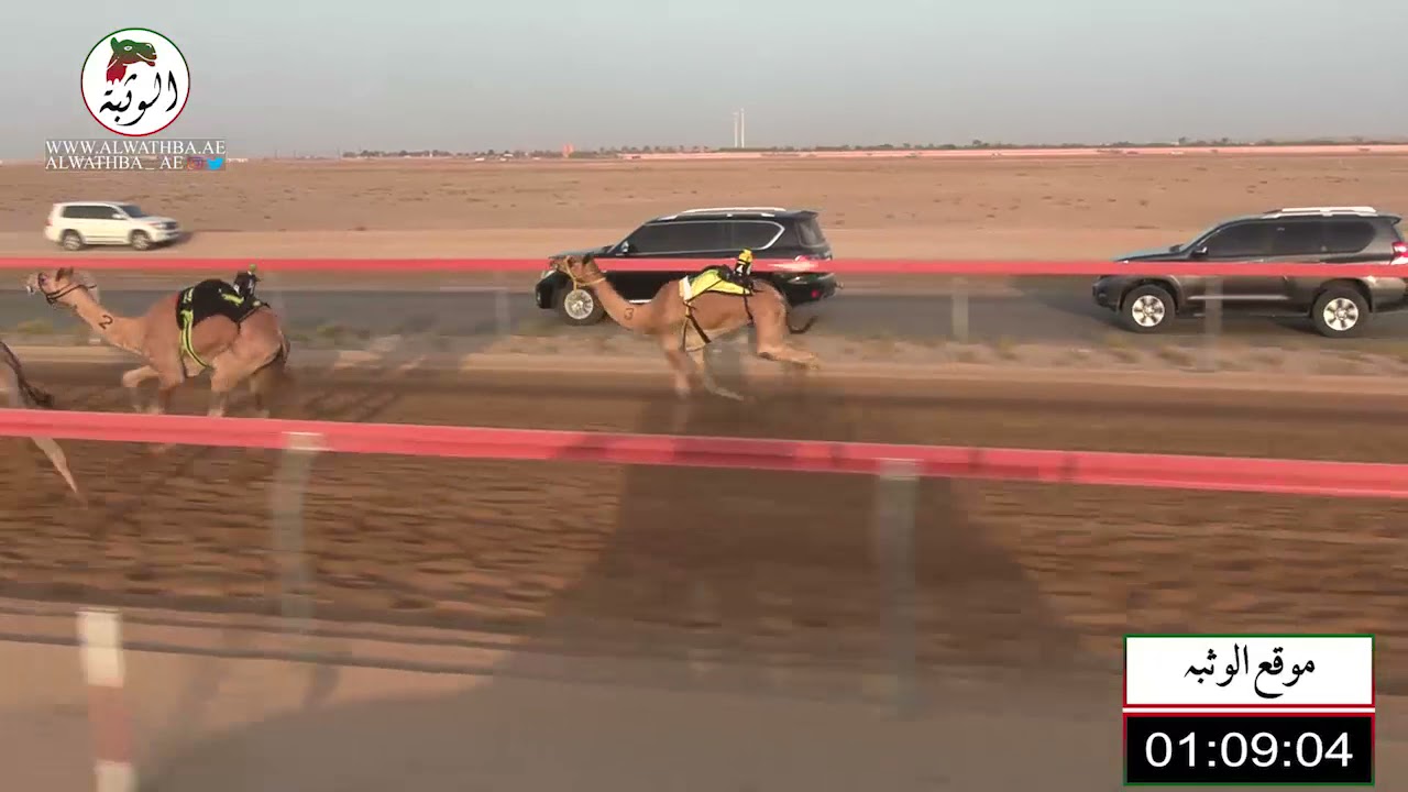 الشوط 7 (سمحه) لـ سالم عبدالله علي الرشيدي 2:56 ، شارة الاتحاد 2021/9/16 حقايق سويحان