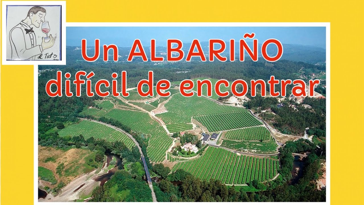 (146) UN ALBARIÑO Difícil de encontrar.