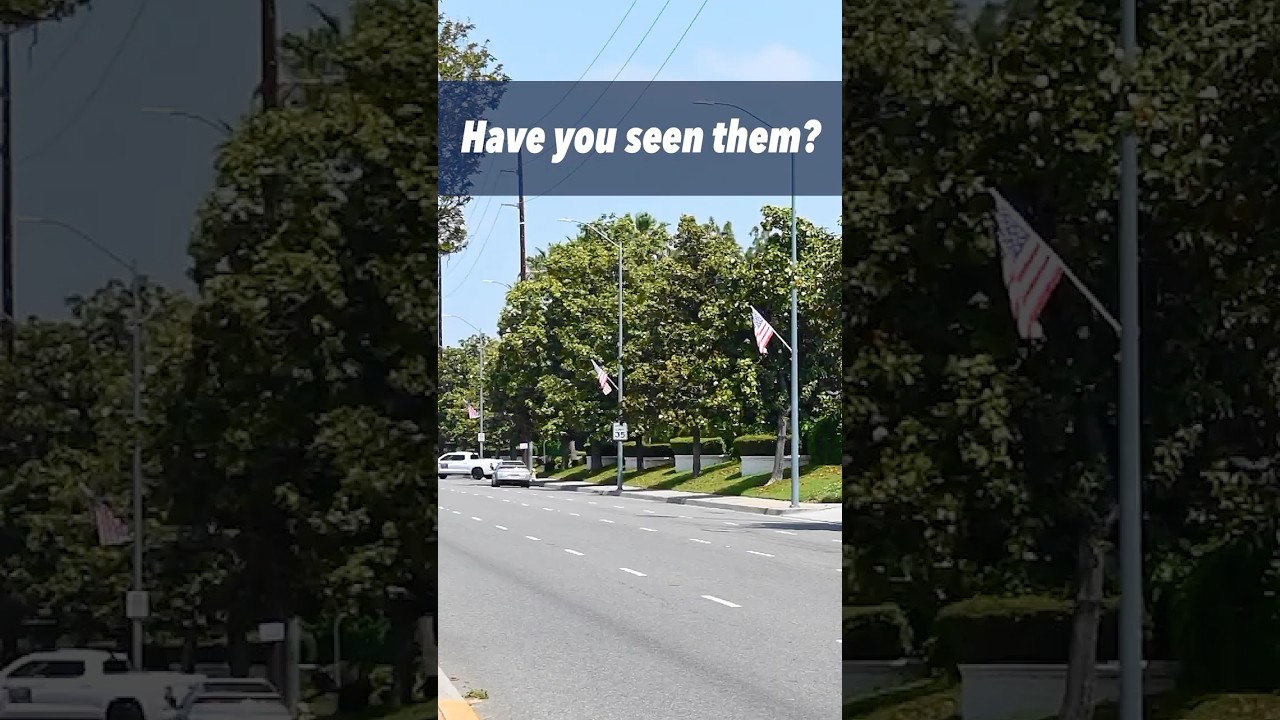 Flag Installations: City of Riverside, Memorial Day to Independence Day 2024 (VHD)