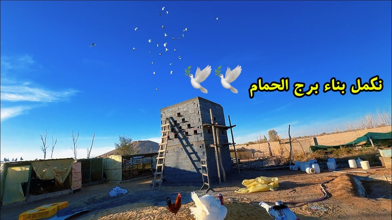سقفنا  برج الحمام شي رهييب 😊👍 🕊️🕊️ 