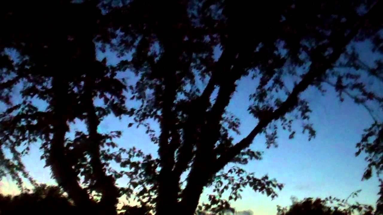 Zomer/Summer in Holland 2014-4: Zonnewende:De langste dag  21 Juni /Summer Solstice / June 21st