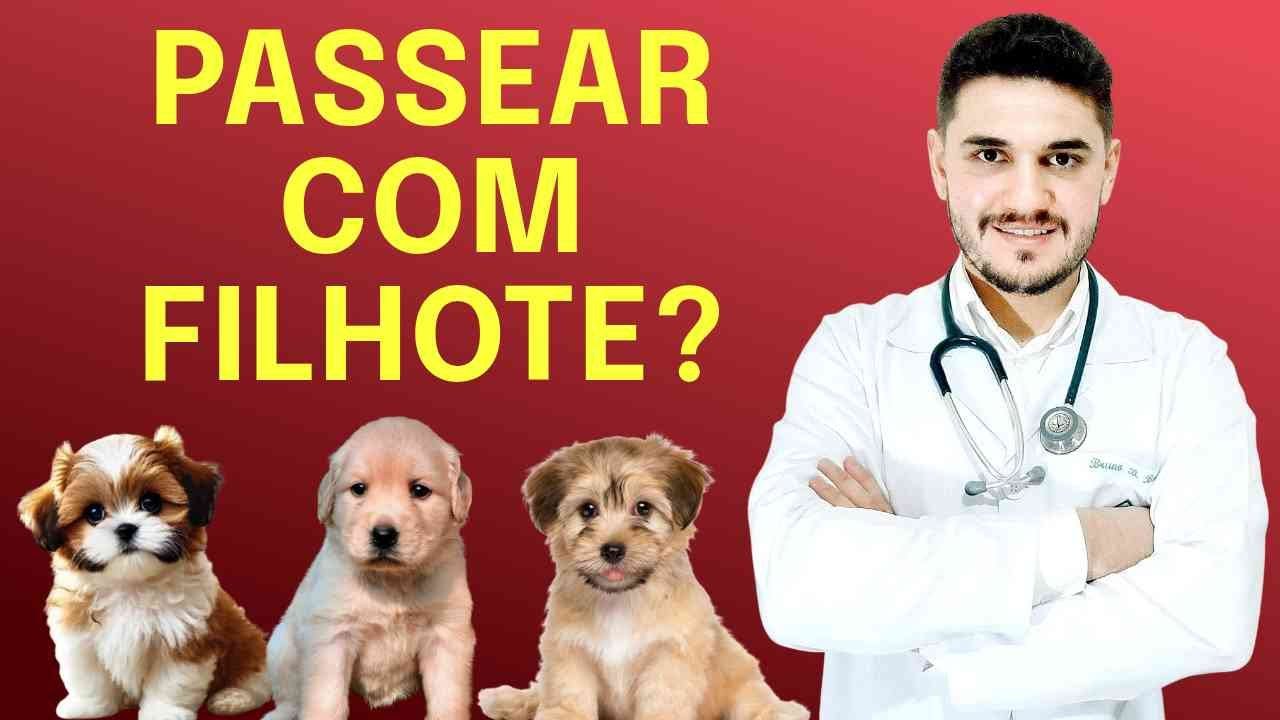 CUIDADOS COM FILHOTES SEM VACINAÇÃO COMPLETA