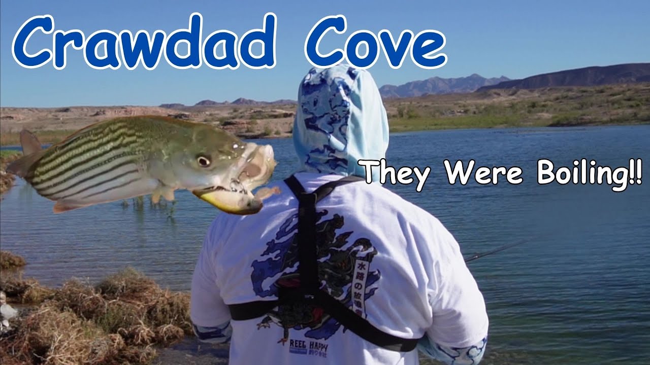 First Time Fishing Lake Mead's Crawdad Cove!! They Started To Boil!