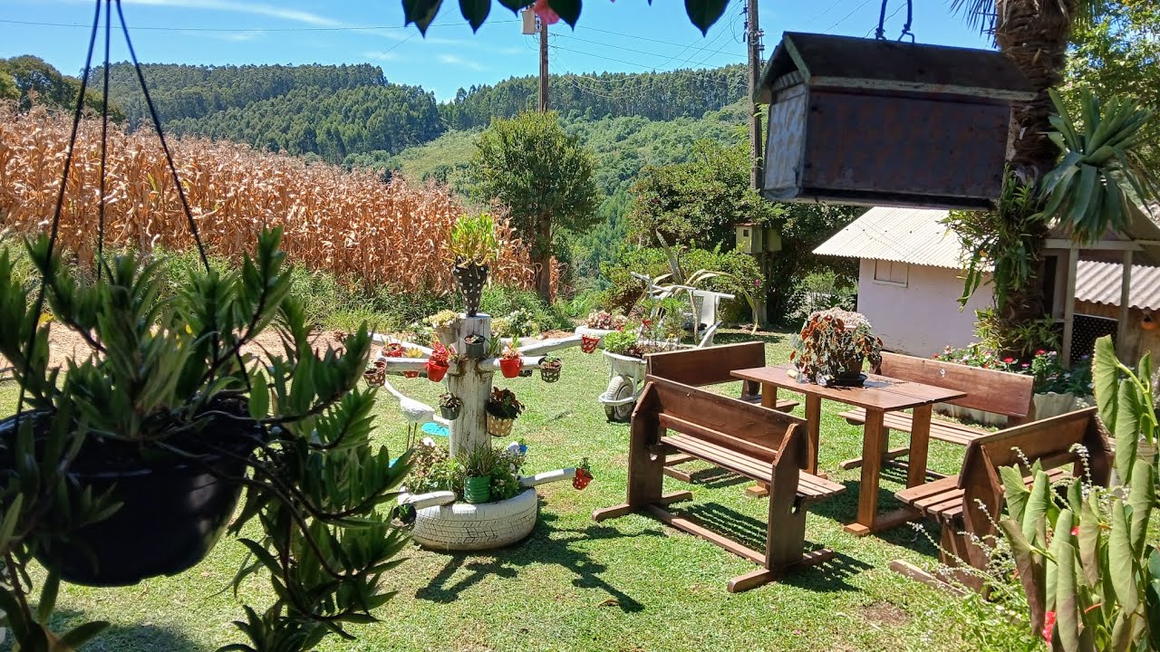 Dia de cortar a grama, mais mudinhas pro nosso paraíso 🥰🥰