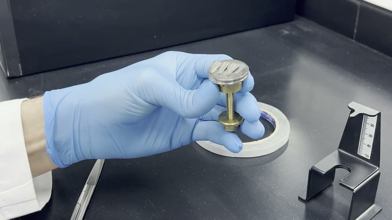 Gold Coating & SEM - Mawad Lab