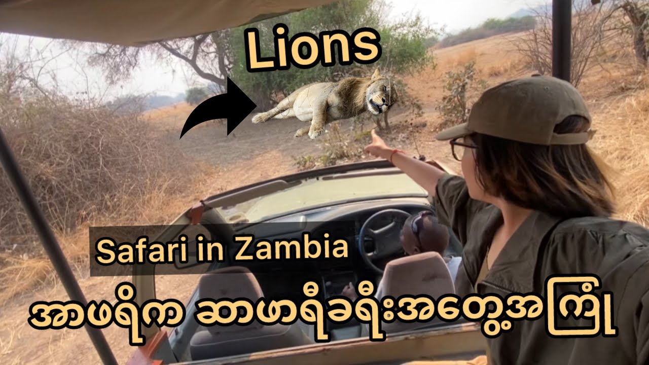 အာဖရိက ဆာဖာရီခရီးမှာဘာ​တွေ​မြင်ရလဲ |  safari in Zambia 