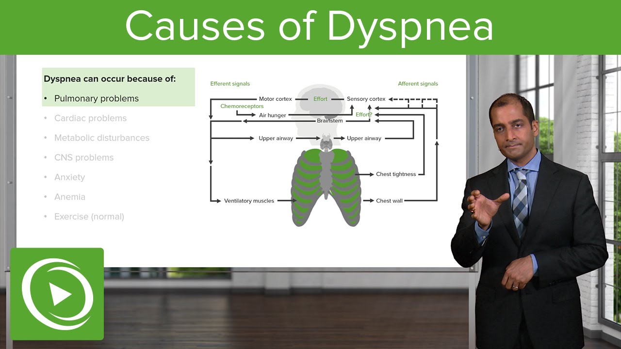 Causes of Dyspnea &ndash; Pulmonary Pathology | Lecturio