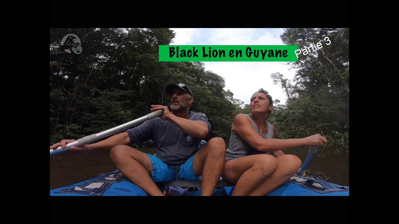 #97  Séjours en pleine forêt amazoniennes, 3 jours au carbet- Black Lion en Guyane