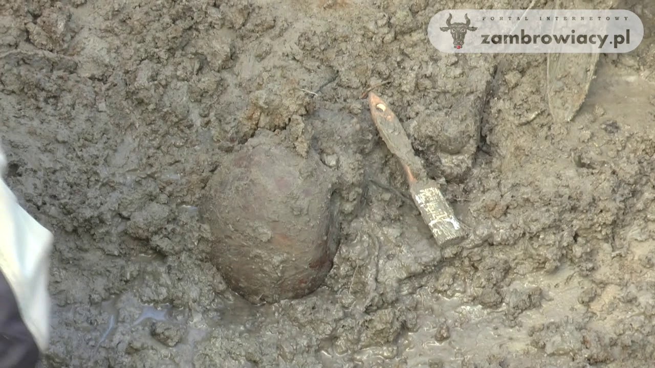 Ekshumacja polskich żołnierzy z mogiły w miejscowości Dmochy-Wochy