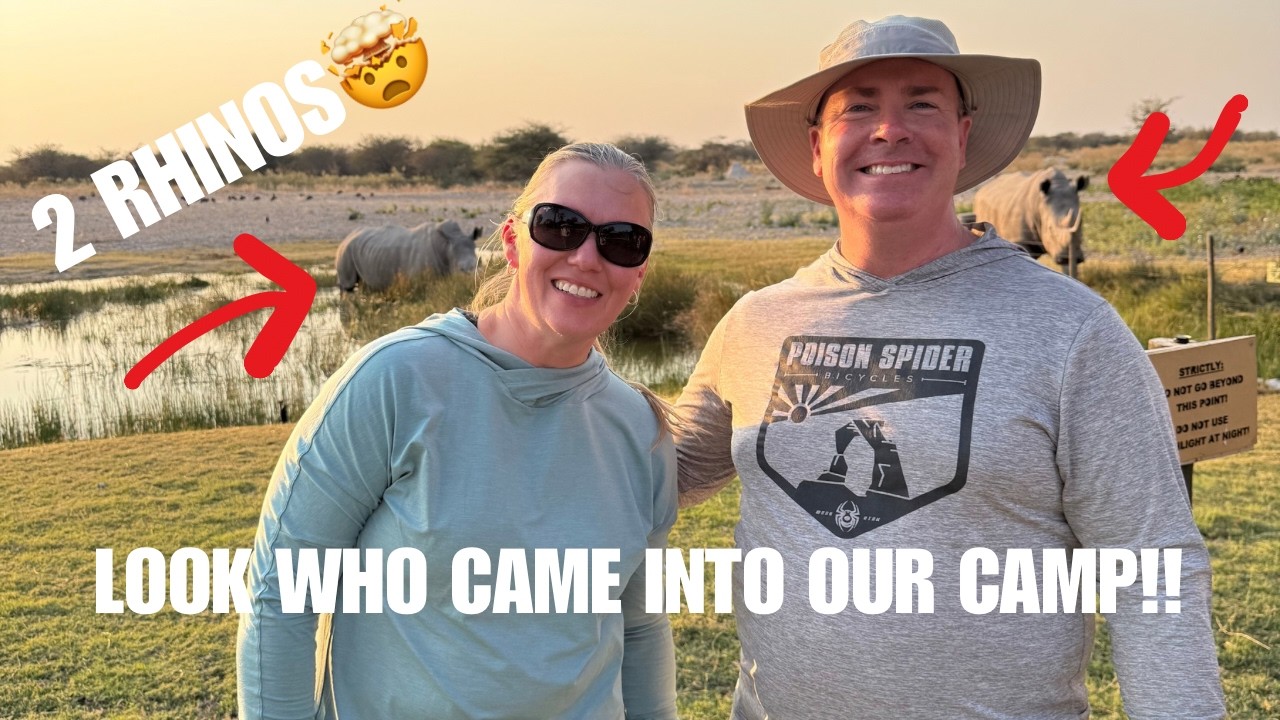 Namibia Road Trip Itinerary | Rhino Encounter, Epic Dunes and Dark Skies