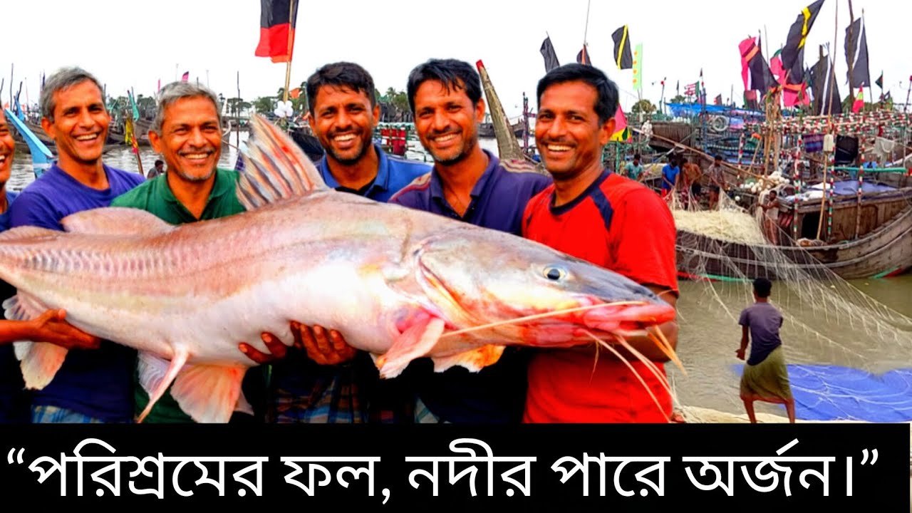 পদ্মায় ধরা বিশাল রুপালি আইড় | তুলে আনার রোমাঞ্চকর মুহূর্ত 🔥