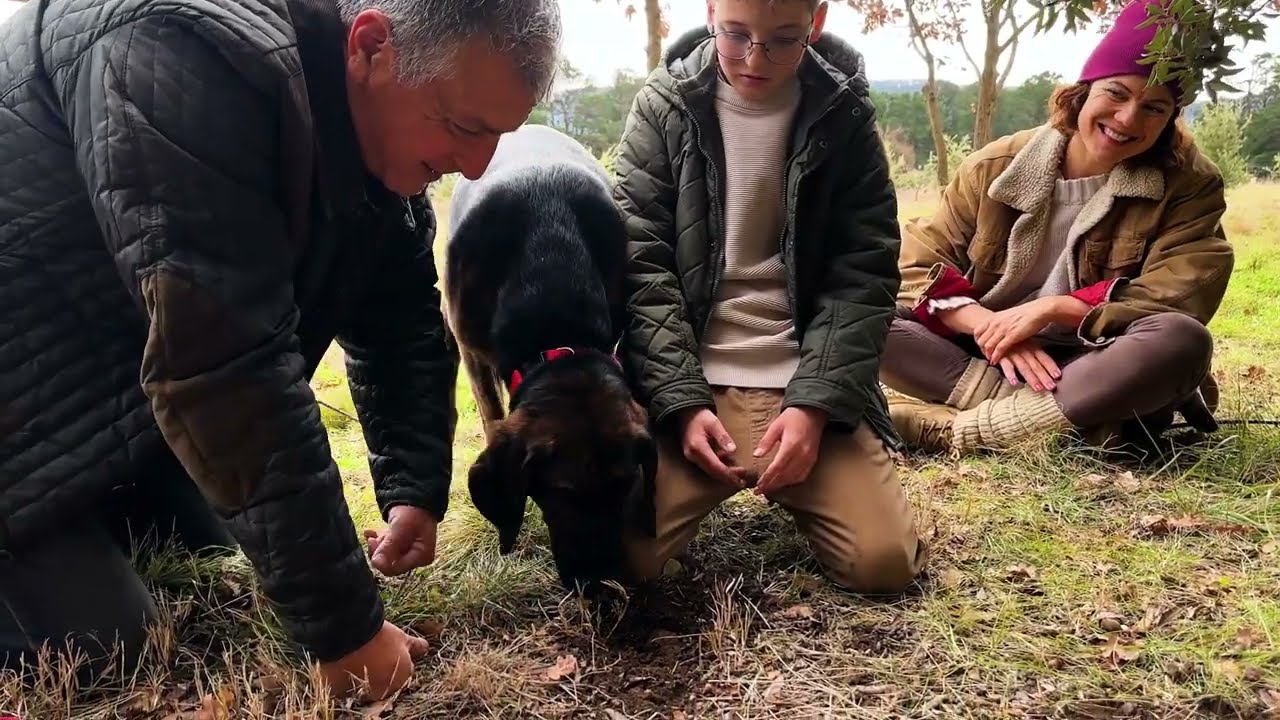 Hidden Valley Farms Australia Truffle Hunting Tours
