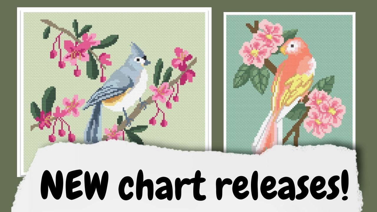 Flosstube #28 (Mar-02-25): New BIRD chart releases & WIPS update