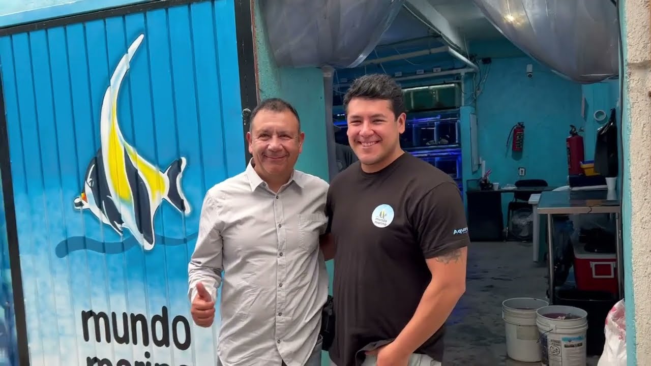 Visitamos Mundo Marino en el mercado morelos de la Ciudad de M&eacute;xico/ descuentos al final