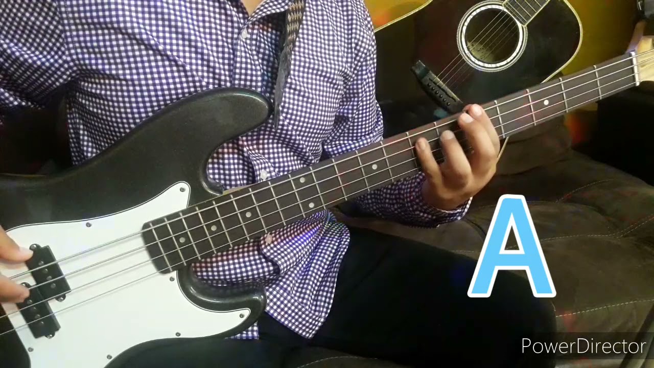 Vino Celestial - Miel San Marcos - Tutorial Bajo