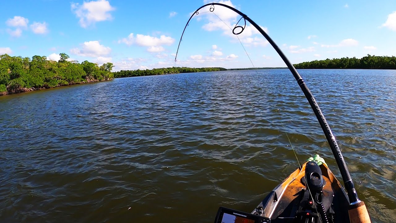 Florida Everglades 6 Species Mixed Bag Bucktailing
