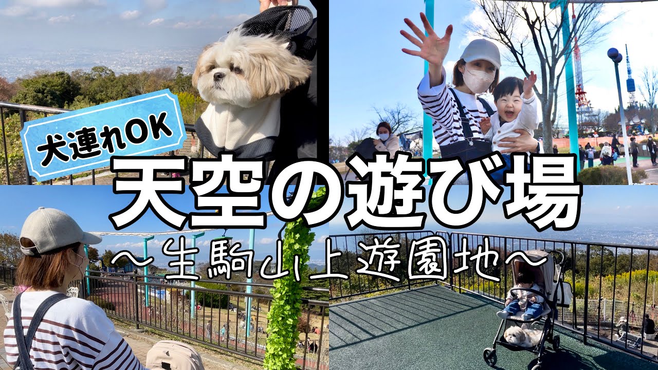 【犬連れおでかけ】「天空の遊び場」へシーズー犬と行ったらエモすぎたw【生駒山上遊園地】#関西 #奈良