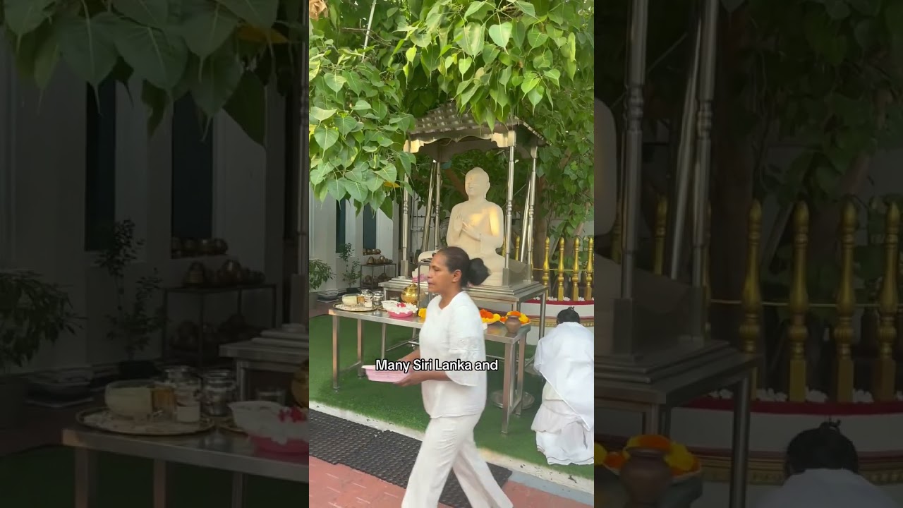 MAHAMEVNAWA: Only One Buddhist Temple In Dubai