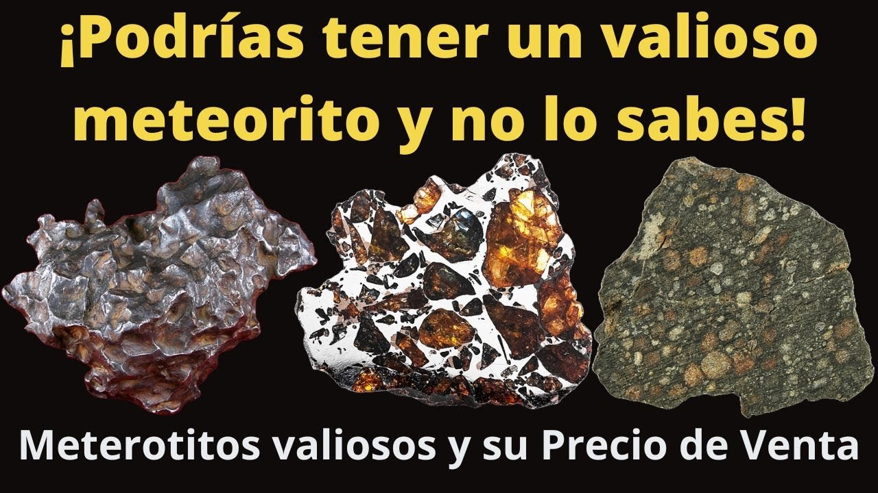 ¡Podrías tener un Valioso Meteorito y no lo sabes! Meteoritos valiosos y su precio de venta