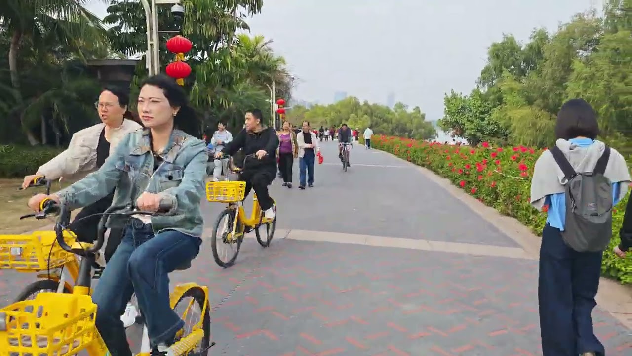 大年初一在深圳湾公园步行。