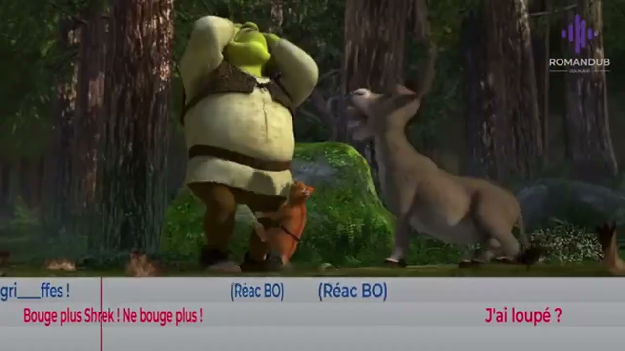 VOICE ACTION - Shrek 2