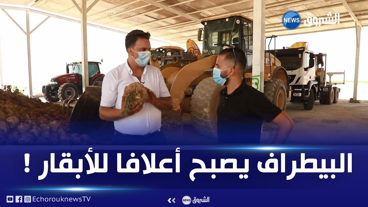 قصة صادمة لصاحب مشروع تصدير 