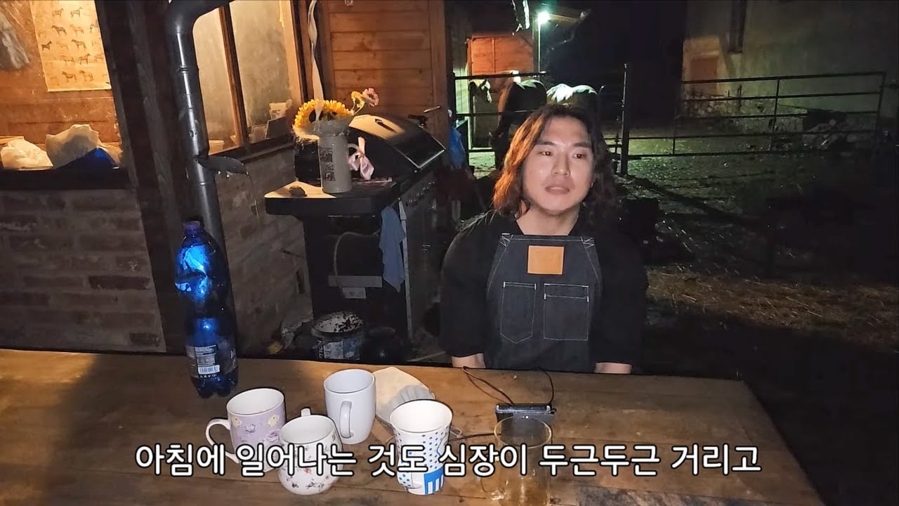 따라쟁이 카피꼬 알렝꼬