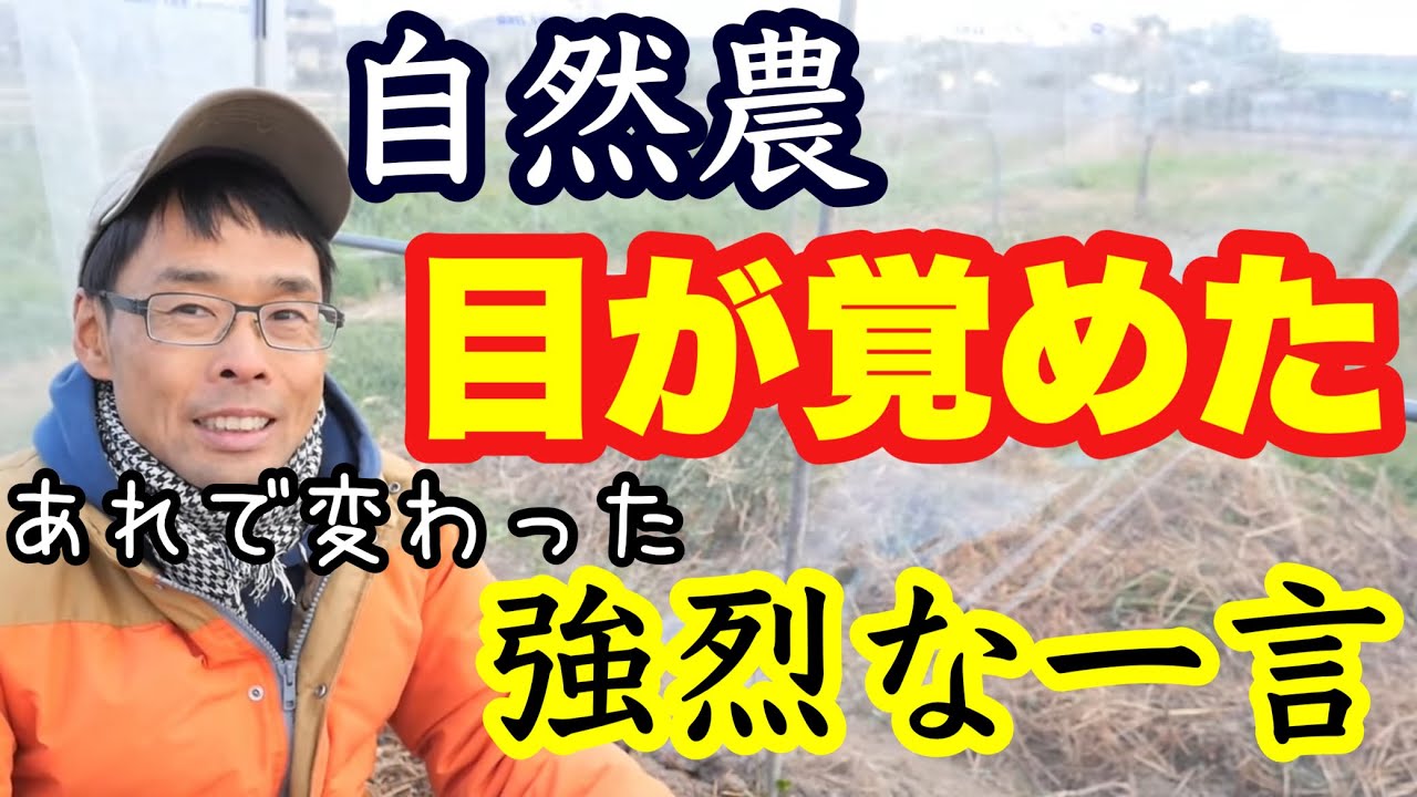 【自然農】無肥料へのコダワリが無くなった臼井さんの一言《無施肥/無農薬/自然栽培/自然農法》