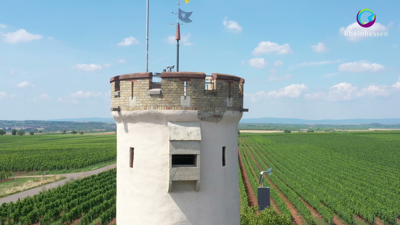 Wandern auf dem RheinTerrassenWeg. Highlights von Nierstein und Nackenheim